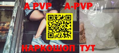 круглые Кингисепп